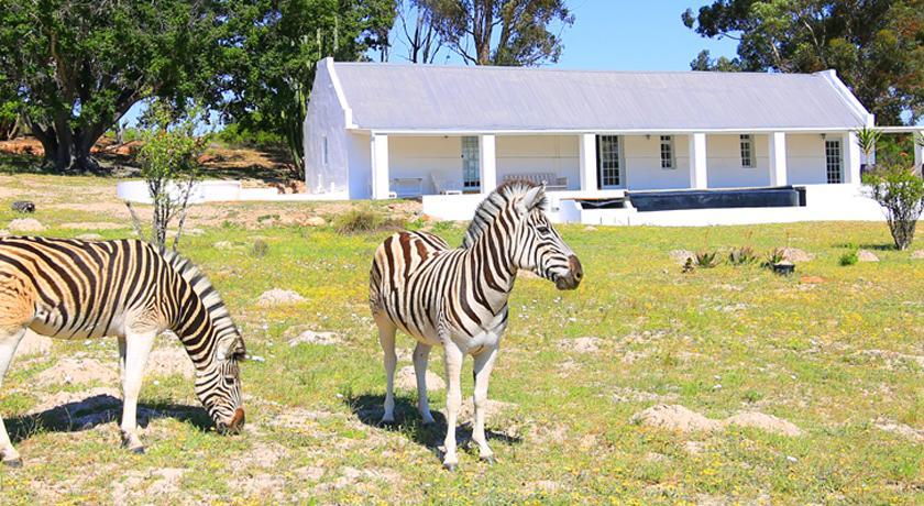 Arnion - Nature Retreat Clanwilliam Esterno foto